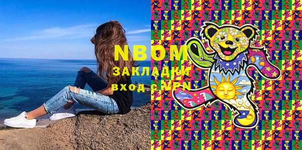 прущие грибы Снежногорск