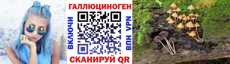 Галлюциногенные грибы мухоморы  Данков 